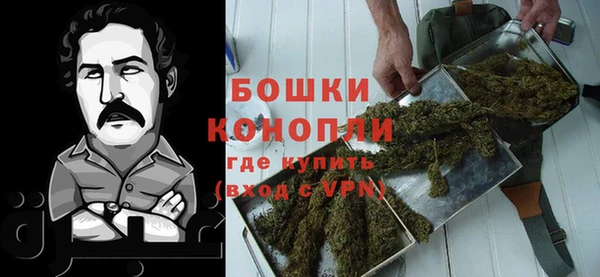 PSILOCYBIN Нефтегорск
