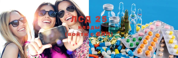 PSILOCYBIN Нефтегорск