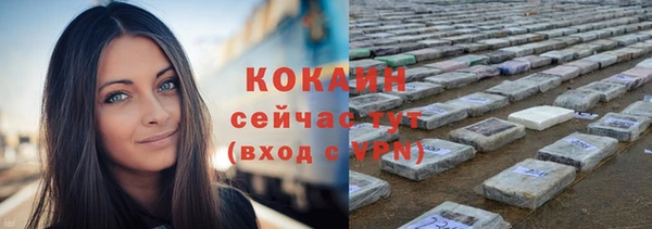 соль ск Болохово